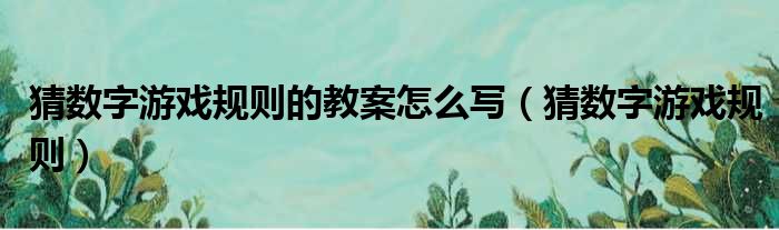 猜数字游戏规则的教案怎么写（猜数字游戏规则）