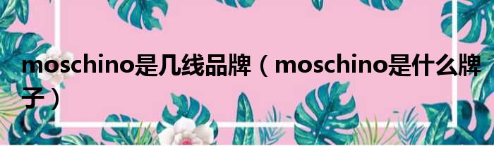 moschino是几线品牌（moschino是什么牌子）