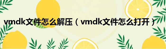 vmdk文件怎么解压（vmdk文件怎么打开）