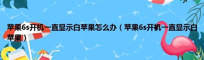 苹果6s开机一直显示白苹果怎么办（苹果6s开机一直显示白苹果）