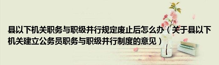 县以下机关职务与职级并行规定废止后怎么办（关于县以下机关建立公务员职务与职级并行制度的意见）