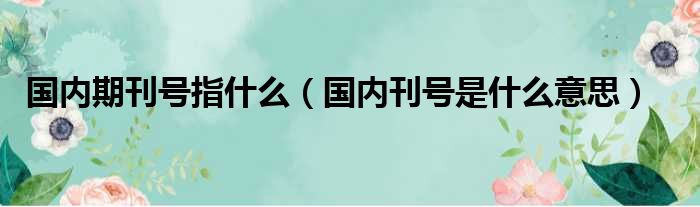 国内期刊号指什么（国内刊号是什么意思）