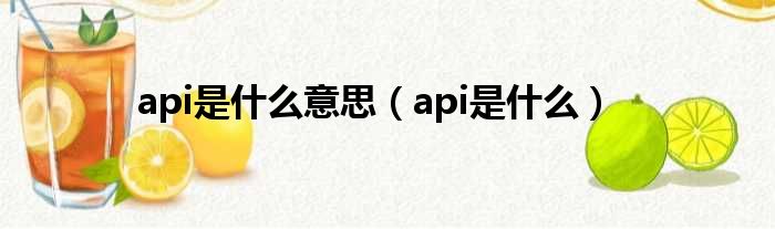 api是什么意思（api是什么）