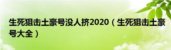 生死狙击土豪号没人挤2020（生死狙击土豪号大全）