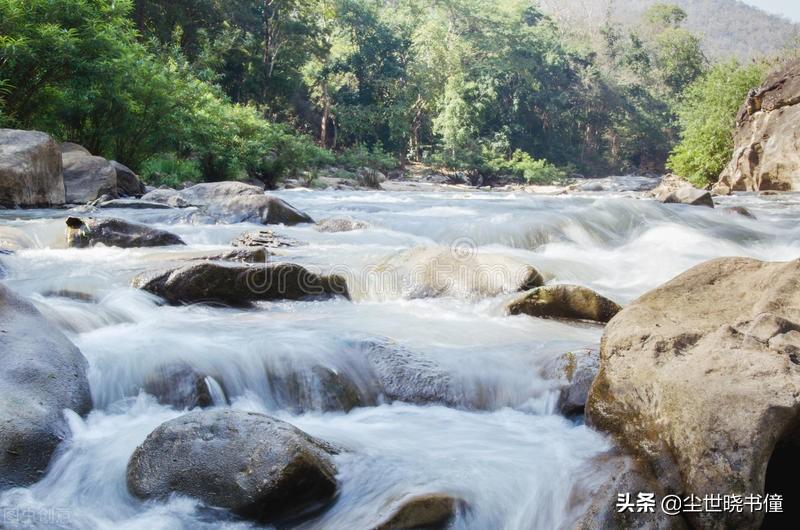 寻胡隐君高启的诗的意思（寻胡隐君古诗翻译及赏析）(图2)