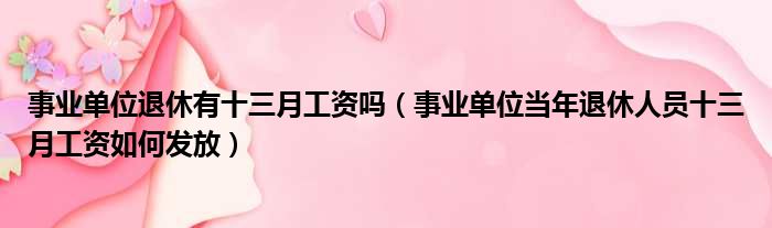 事业单位退休有十三月工资吗（事业单位当年退休人员十三月工资如何发放）