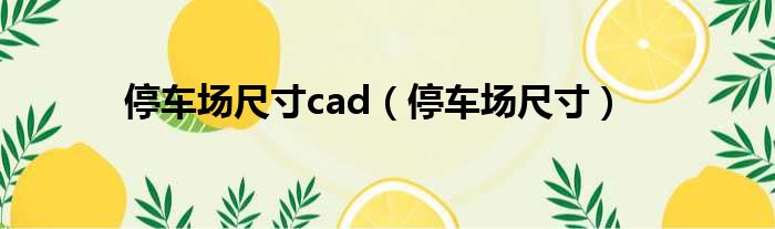 停车场尺寸cad（停车场尺寸）