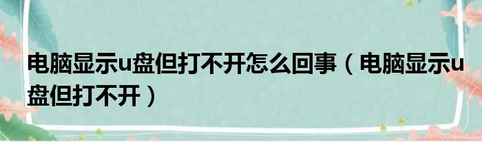 电脑显示u盘但打不开怎么回事（电脑显示u盘但打不开）