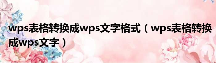 wps表格转换成wps文字格式（wps表格转换成wps文字）