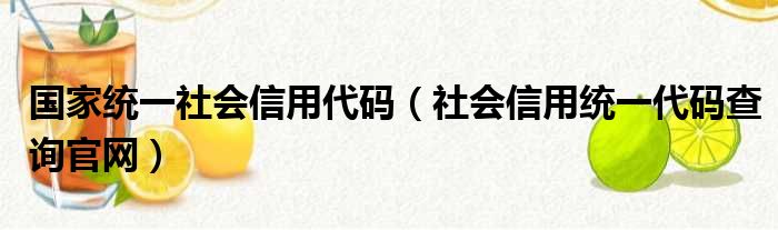 国家统一社会信用代码（社会信用统一代码查询官网）