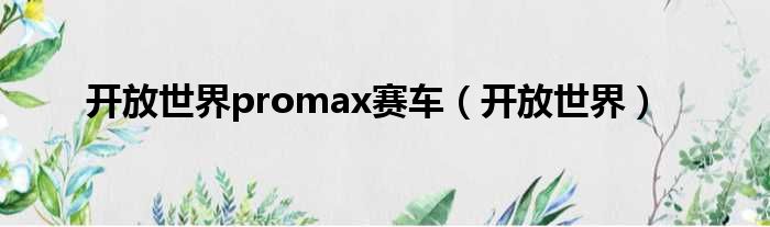 开放世界promax赛车（开放世界）