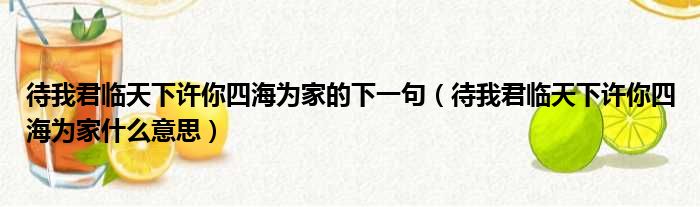 待我君临天下许你四海为家的下一句（待我君临天下许你四海为家什么意思）