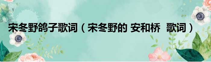 宋冬野鸽子歌词（宋冬野的 安和桥  歌词）