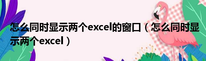 怎么同时显示两个excel的窗口（怎么同时显示两个excel）