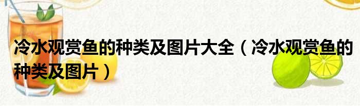 冷水观赏鱼的种类及图片大全（冷水观赏鱼的种类及图片）