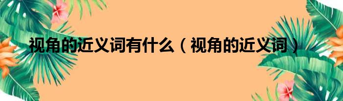 视角的近义词有什么（视角的近义词）