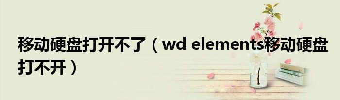 移动硬盘打开不了（wd elements移动硬盘打不开）