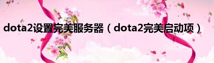 dota2设置完美服务器（dota2完美启动项）