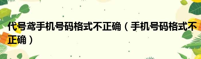 代号鸢手机号码格式不正确（手机号码格式不正确）