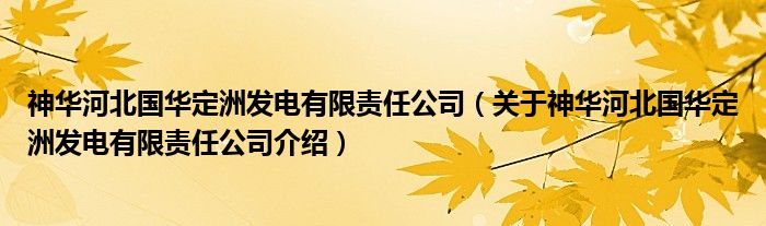  神华河北国华定洲发电有限责任公司（关于神华河北国华定洲发电有限责任公司介绍）