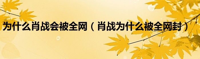  为什么肖战会被全网（肖战为什么被全网封）