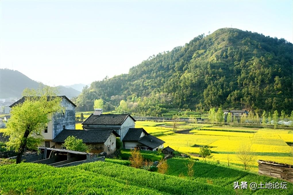 小麦补贴每年什么时候发（小麦补贴每年几月份发放）(图3)