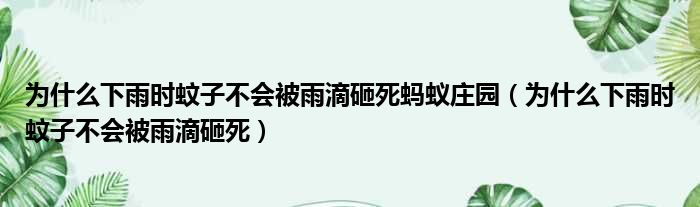 为什么下雨时蚊子不会被雨滴砸死蚂蚁庄园（为什么下雨时蚊子不会被雨滴砸死）