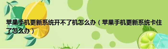 苹果手机更新系统开不了机怎么办（苹果手机更新系统卡住了怎么办）