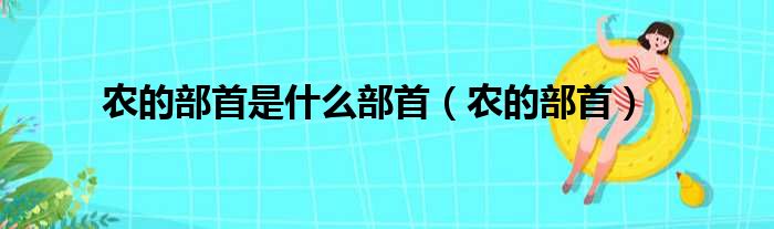 农的部首是什么部首（农的部首）