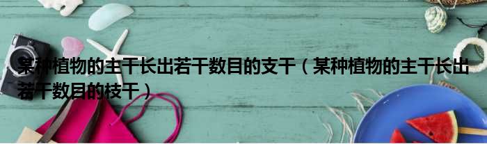 某种植物的主干长出若干数目的支干（某种植物的主干长出若干数目的枝干）