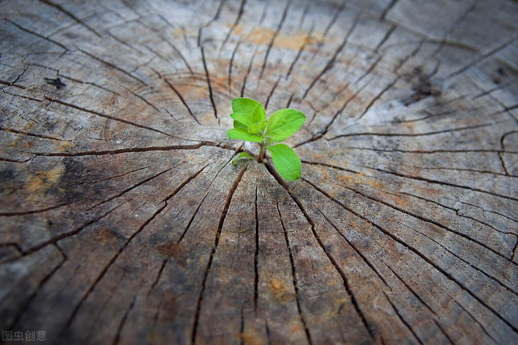 余华《活着》中徐福贵的人物形象分析（余华活着简介主要内容概括）(图5)