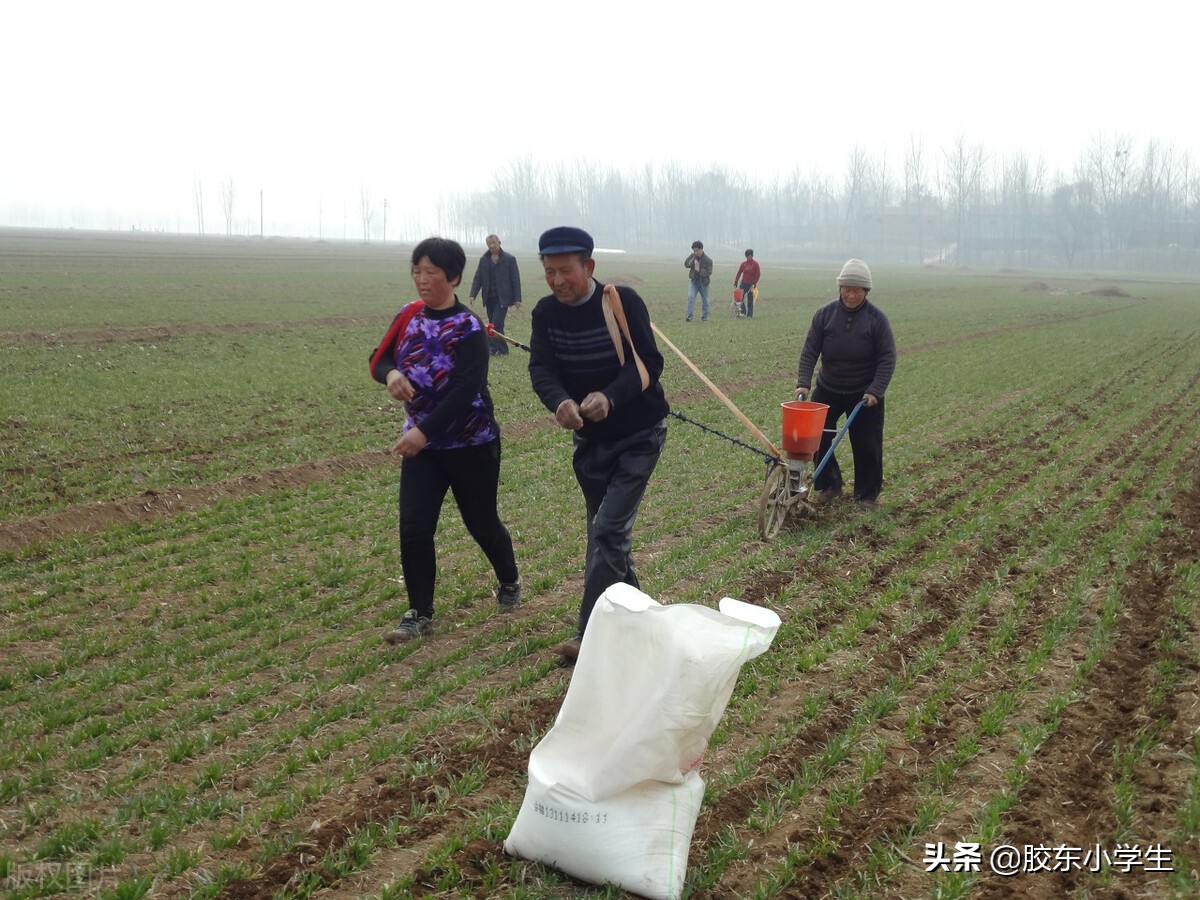 周公吐哺是周文王吗-（周公吐哺周公指的是谁）(图6)