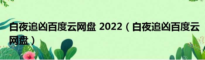 白夜追凶百度云网盘 2022（白夜追凶百度云网盘）