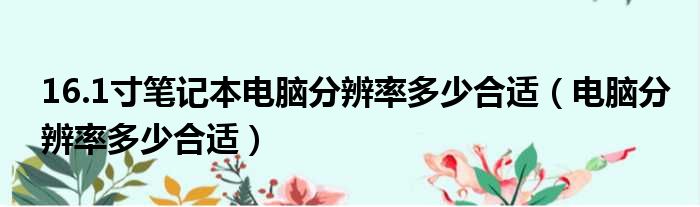 16.1寸笔记本电脑分辨率多少合适（电脑分辨率多少合适）