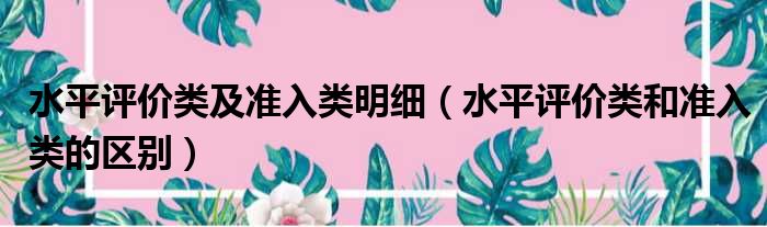 水平评价类及准入类明细（水平评价类和准入类的区别）