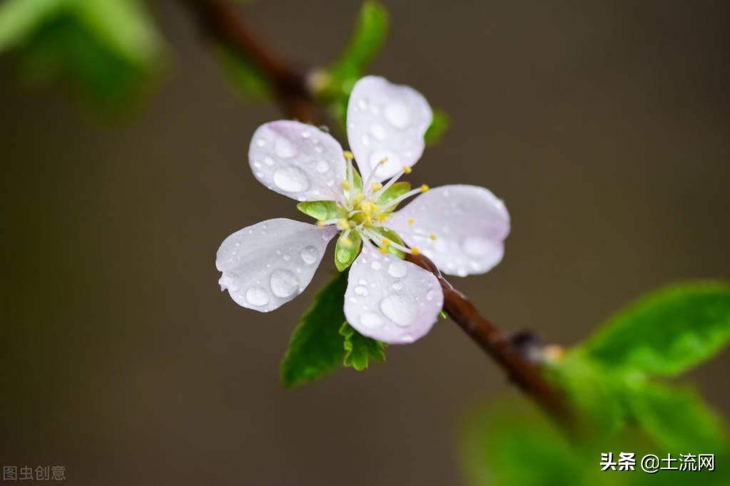 的梅雨季节什么时候开始什么时候结束（梅雨季节是几月份）(图1)