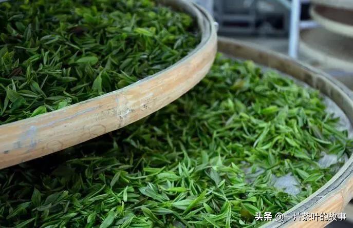 大红袍属于红茶类吗-（大红袍属于红茶吗）