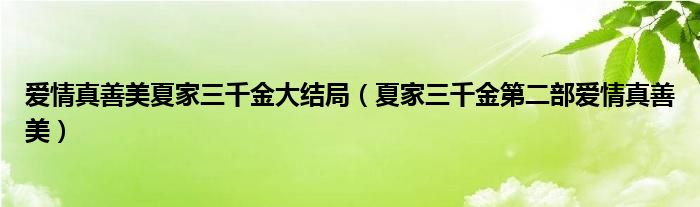  爱情真善美夏家三千金大结局（夏家三千金第二部爱情真善美）