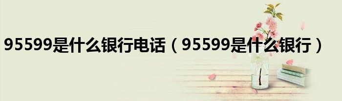 95599是什么银行电话（95599是什么银行）