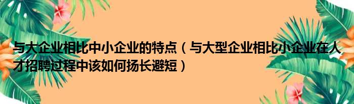 与大企业相比中小企业的特点（与大型企业相比小企业在人才招聘过程中该如何扬长避短）