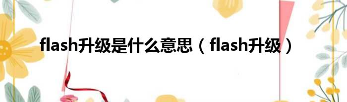 flash升级是什么意思（flash升级）