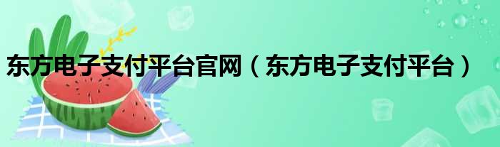 东方电子支付平台官网（东方电子支付平台）