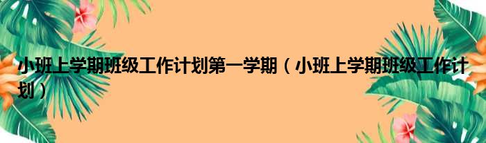 小班上学期班级工作计划第一学期（小班上学期班级工作计划）