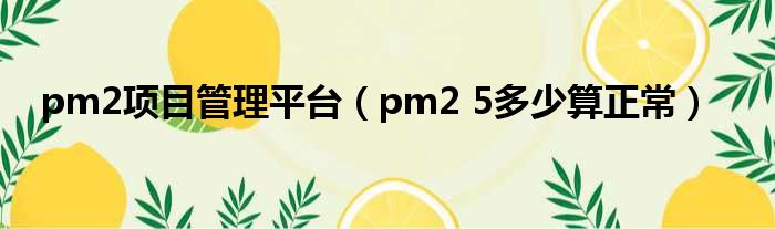 pm2项目管理平台（pm2 5多少算正常）