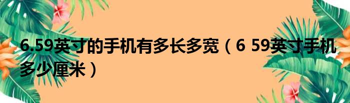 6.59英寸的手机有多长多宽（6 59英寸手机多少厘米）