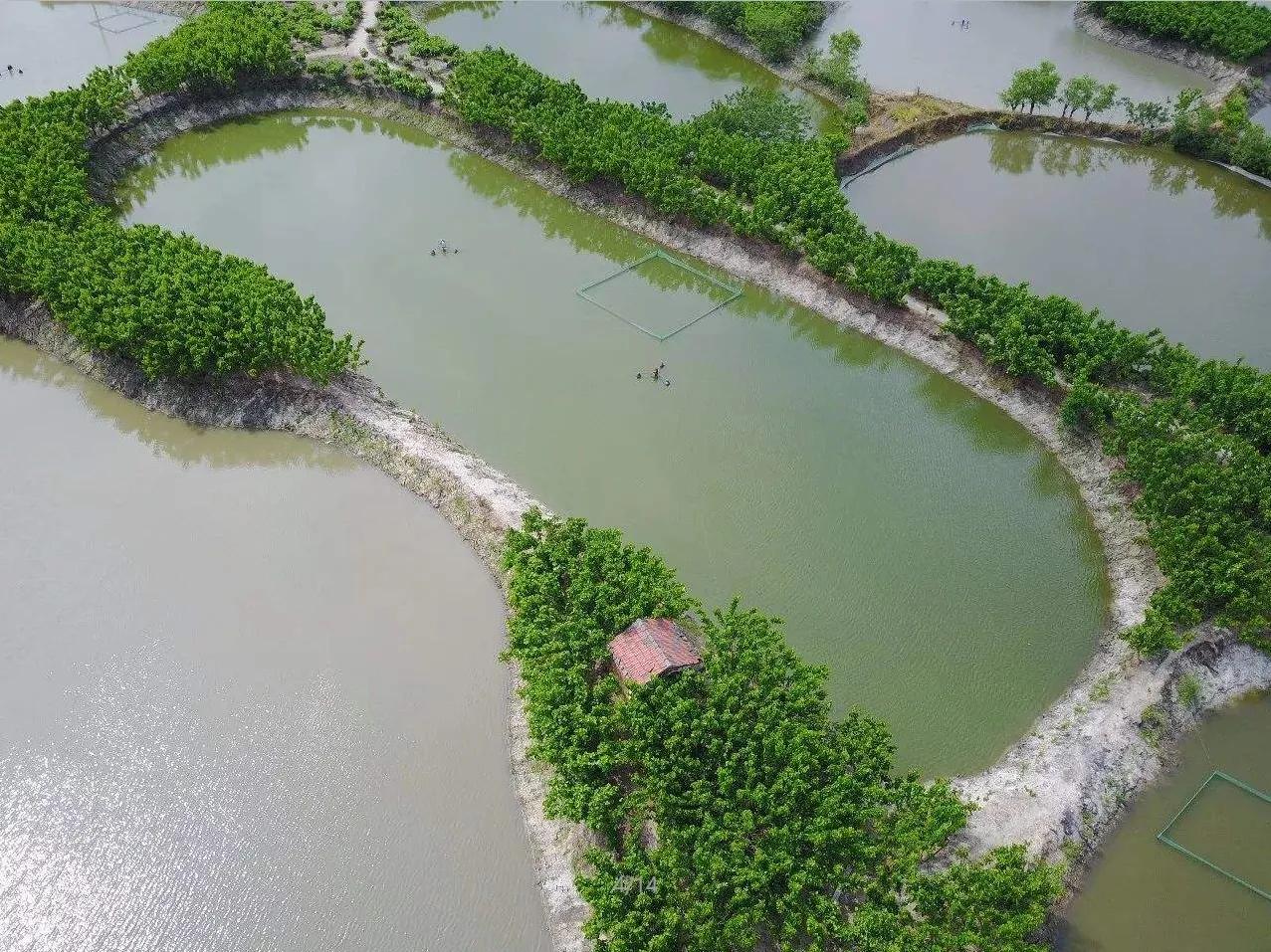 出现苏湖熟天下足的原因（湖州市的湖指的是什么）(图9)