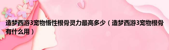 造梦西游3宠物悟性根骨灵力最高多少（造梦西游3宠物根骨有什么用）