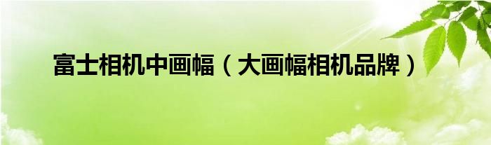 富士相机中画幅（大画幅相机品牌）