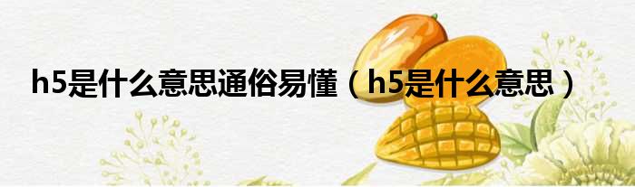 h5是什么意思通俗易懂（h5是什么意思）