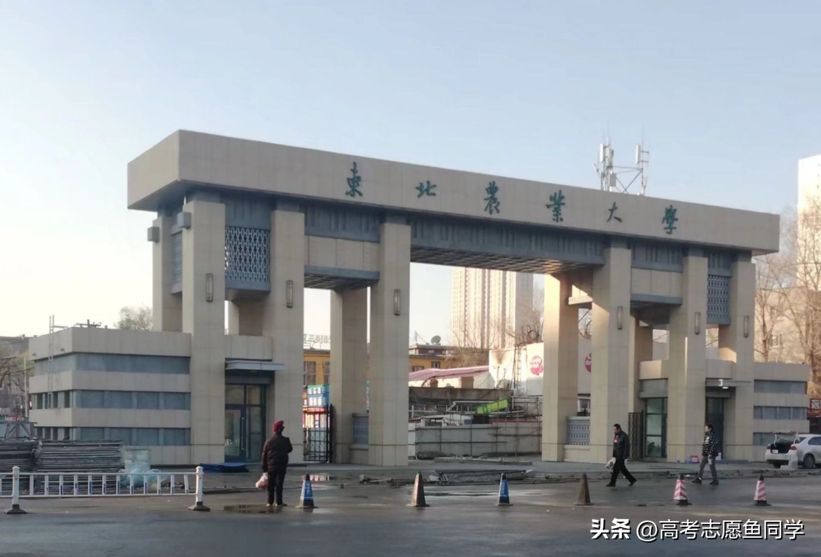 东北较好的一本大学（东北最好的大学排名一览）(图5)